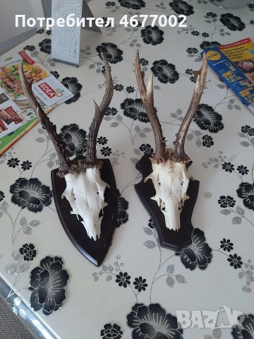 красиви сръндаци