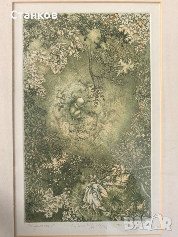 Хармонично, Яна Антонова 