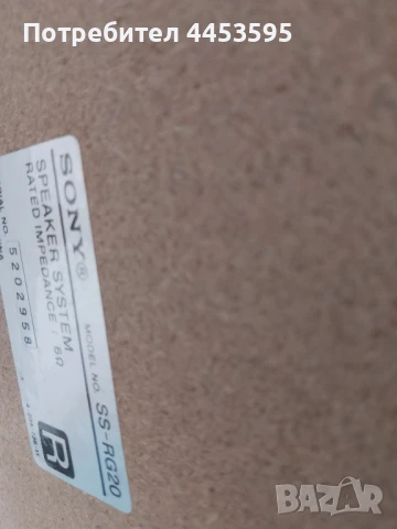 SONY SS-RG20, снимка 3 - Тонколони - 51419237