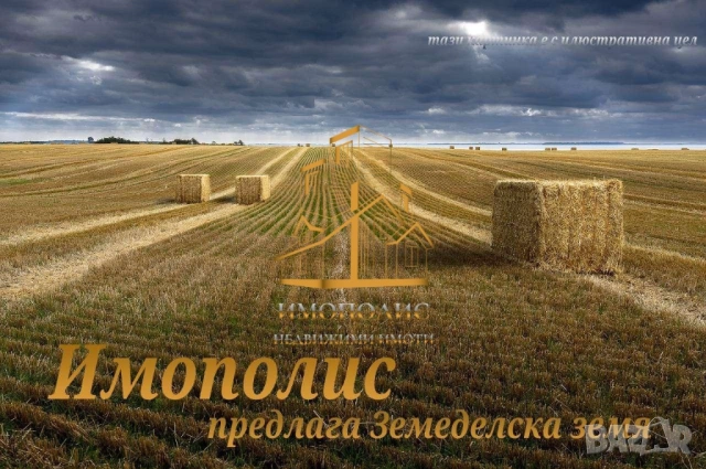 🍁Парцел - село Козаревец, Област Велико Търново (Обява N:874010)🍁