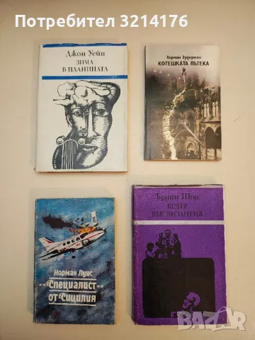 Нечиста кръв - Борисав Станкович, снимка 7 - Художествена литература - 49826301
