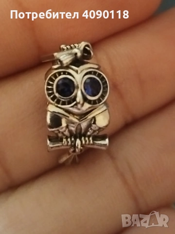 Медальон за гривна на пандора, снимка 2 - Колиета, медальони, синджири - 53220257