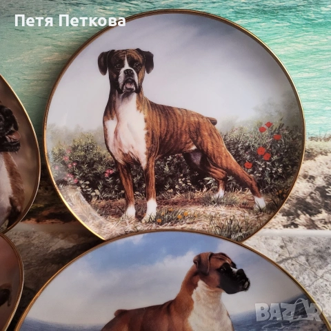 Чинии за стена , снимка 7 - Декорация за дома - 53054437