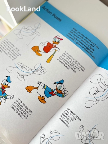 Learn to draw Donald and Daisy , снимка 9 - Други - 51591551