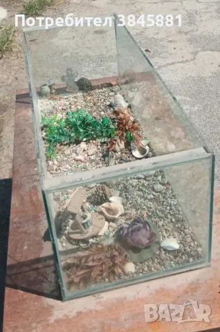 продавам аквариум, снимка 3 - Аквариуми - 50336589