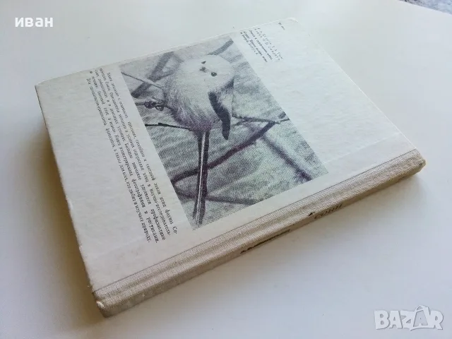Сони - А.Е.Айрапетьянц - 1983г., снимка 7 - Наука, техника и компютри - 56207943
