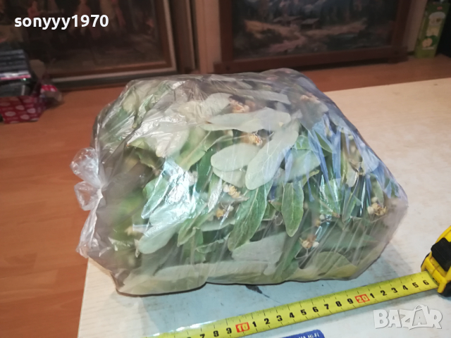 ЛИПОВ ЧАЙ-ГОЛЯМ ПЛИК 0603241644, снимка 9 - Домашни продукти - 44638119