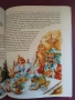 Детска енциклопедия и Приказки на Братя Грим на немски език , снимка 7
