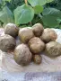 Продавам чист пчелен клей (прополис), снимка 1