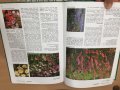 Енциклопедия A-Z of Annuals, Biennials & Bulbs (Successful Gardening), снимка 5