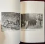 Brief Romanian Military History, снимка 7