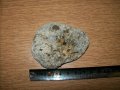 ПРОМОЦИЯ-вкаменелост-фосил, снимка 1 - Други ценни предмети - 30841855