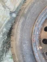 Гуми с джанти за фиат , снимка 2
