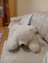 ПЛЮШЕНА ИГРАЧКА ГОЛЯМА МЕЧКА, снимка 16