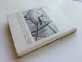 Сони - А.Е.Айрапетьянц - 1983г., снимка 7