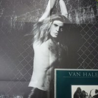 грамофонни плочи Van Halen, снимка 12 - Грамофонни плочи - 31598910