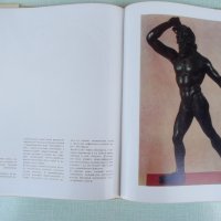 Книга "Лувр. Париж - З. Г. Борисова" - 188 стр., снимка 5 - Специализирана литература - 37310832
