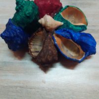 Цветни сувенири от рапани, снимка 6 - Морски сувенири - 42448772
