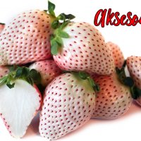 200 семена от плод бяла ягода органични плодови бели ягодови семена от вкусни ягоди отлични плодове , снимка 9 - Сортови семена и луковици - 37706682