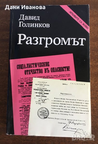 РАЗГРОМЪТ - Давид Голинков, снимка 1