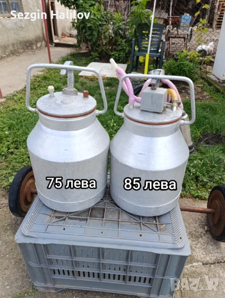 Вехтории , снимка 1