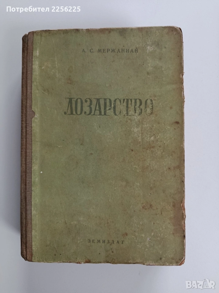 Лозарство 1953г, снимка 1