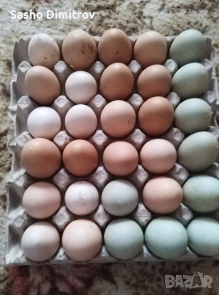 домашни яйца. , снимка 1