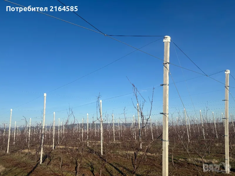 Резитба  на овощни градини, снимка 1