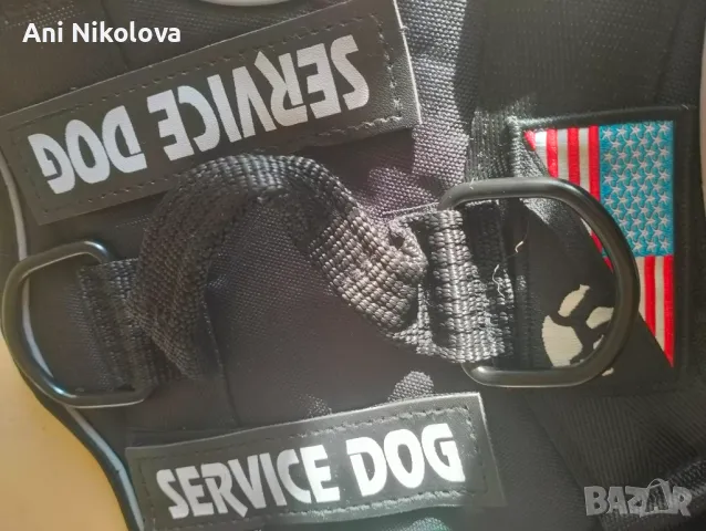 Сет за служебно куче