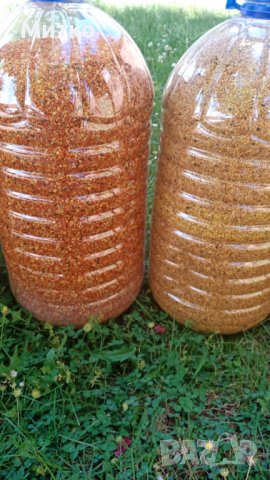 Пчелен прашец билков - реколта 2025