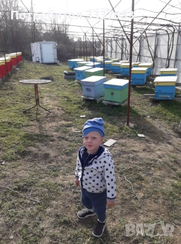 biznes imot, снимка 2 - Къщи - 52856010