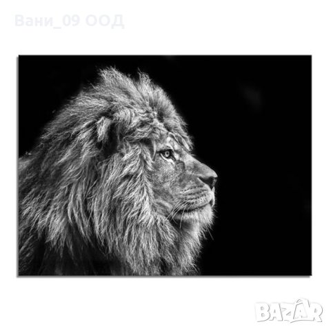 Голяма картина-канава "Лъв", снимка 1 - Картини - 42051190