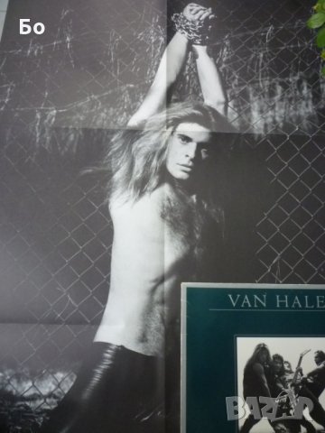 грамофонни плочи Van Halen, снимка 12 - Грамофонни плочи - 31598910
