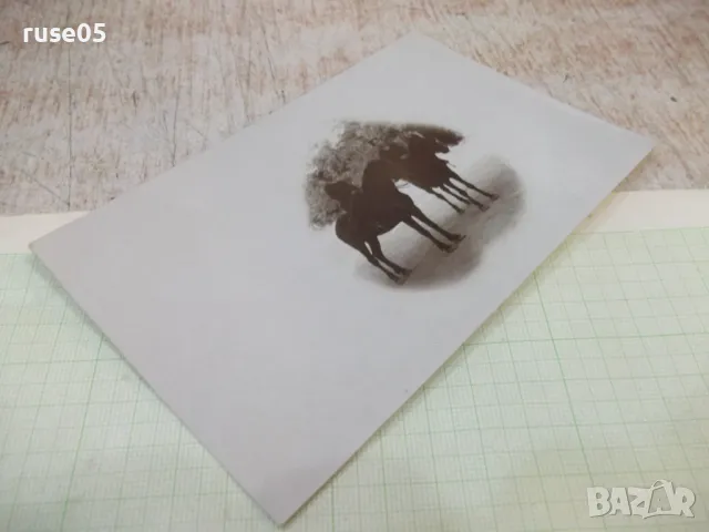 Снимка стара на две жени на коне, снимка 3 - Колекции - 48001298