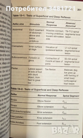 Лекции по невронауки - реч, език, глас / Aronson's Neurosciences Pocket Lectures, снимка 6 - Специализирана литература - 54167718