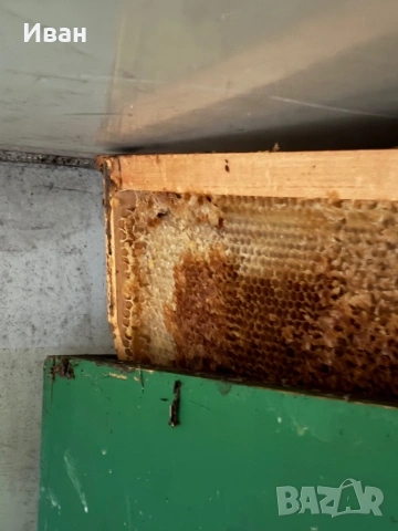 10р. Корпуси с изградени рамки нови , снимка 3 - За пчели - 53928267