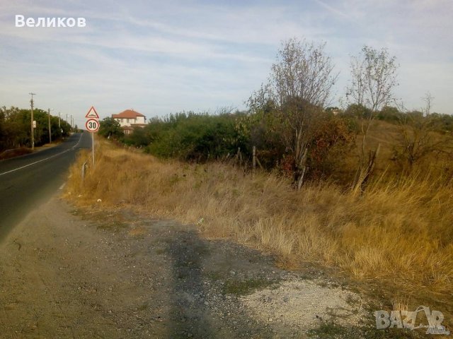 Лозе с овошки село Брястовец, снимка 7 - Парцели - 31904312