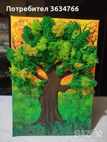 продавам бонзаи, снимка 3 - Декорация за дома - 52431917