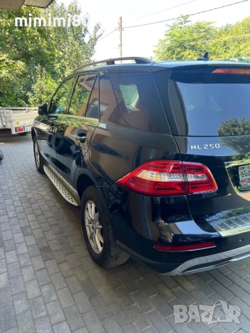 ML250, снимка 4 - Автомобили и джипове - 52930733