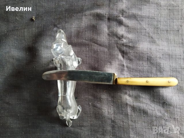 пет поставки за мръсни прибори-куче, снимка 5 - Аксесоари за кухня - 29568021