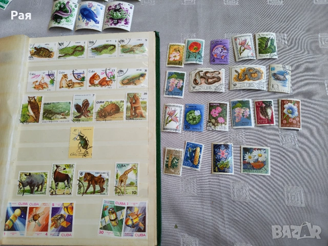 Колекция от марки, снимка 17 - Филателия - 54259089