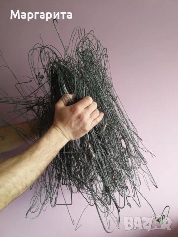 телове за ванди, снимка 2 - Стайни растения - 54264824