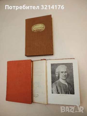 Мъдростта на чудака или Смърт и преображение на Жан-Жак Русо - Лион Фойхтвангер