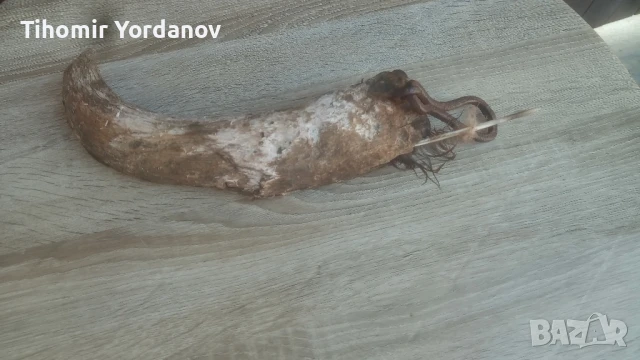 Катраник от биволски рог., снимка 12 - Антикварни и старинни предмети - 51320819