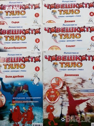 Поредица детски списания "Човешкото тяло", снимка 2 - Колекции - 38673094