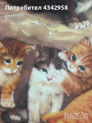 🐱 Колекционерска порцеланова чиния Seltmann Weiden – 1993 г., снимка 2 - Други ценни предмети - 55940463