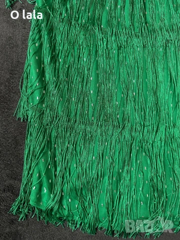 Атрактивна рокля с ресни , снимка 5 - Рокли - 54192649