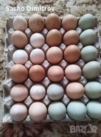 домашни яйца. 