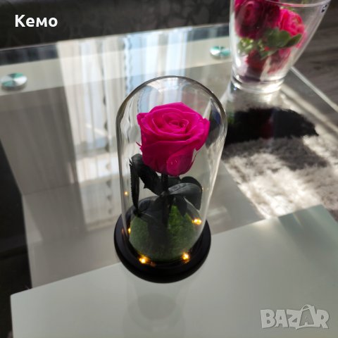 Вечна естествена роза в стъкленица, снимка 10 - Декорация за дома - 27657211