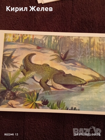 От ДЪЛБИНИТЕ на ВЕКОВЕТЕ фотографии редки за КОЛЕКЦИЯ ДЕКОРАЦИЯ 7416, снимка 2 - Колекции - 51882722